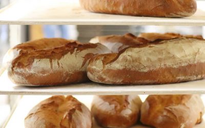 Il pane fa ingrassare? Sfatiamo i falsi miti